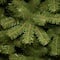 7 ft. Unlit North Valley Spruce Pencil Artificial Christmas Tree